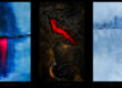 tryptique abstrait